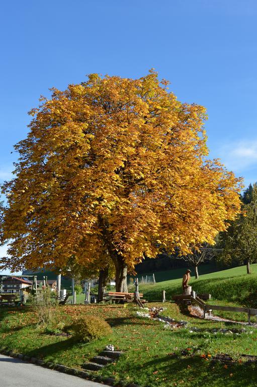 Landgasthof Ledererwirt Guest House Ebbs Exterior foto
