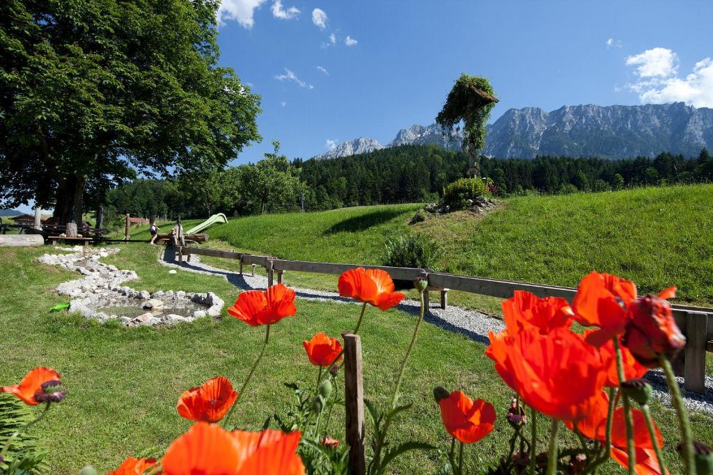 Landgasthof Ledererwirt Guest House Ebbs Exterior foto